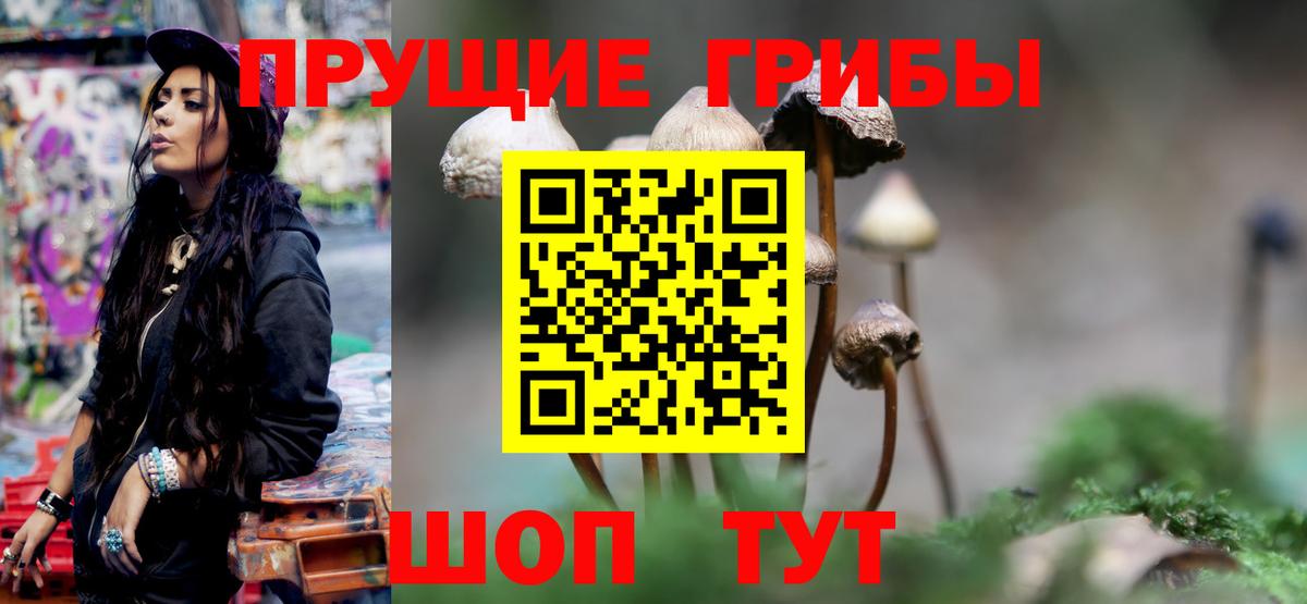 Псилоцибиновые грибы мухоморы Волоколамск